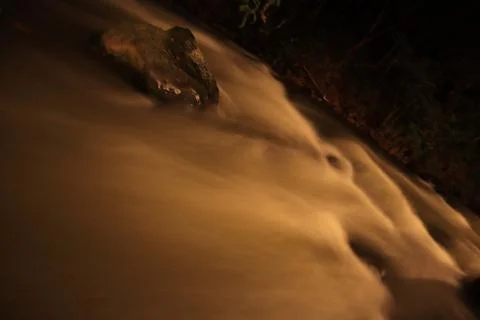 Stream in the middle of a pine forest Stock Photos