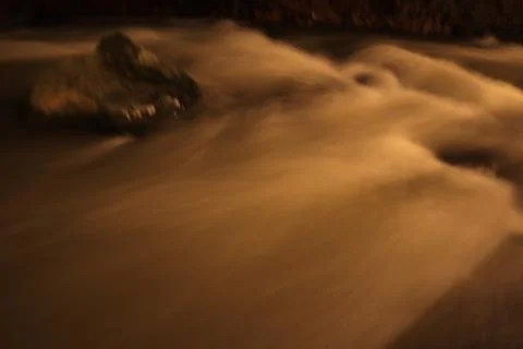 Stream in the middle of a pine forest Stock Photos