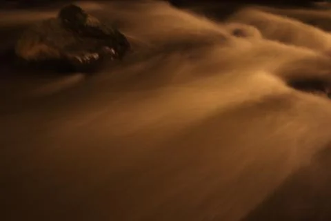Stream in the middle of a pine forest Stock Photos