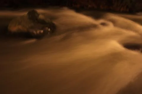 Stream in the middle of a pine forest Stock Photos