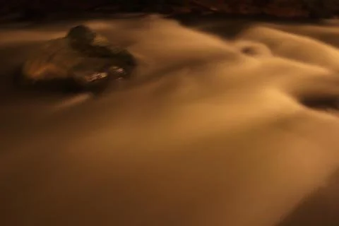 Stream in the middle of a pine forest Stock Photos