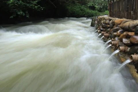 Stream in the middle of a pine forest Stock Photos