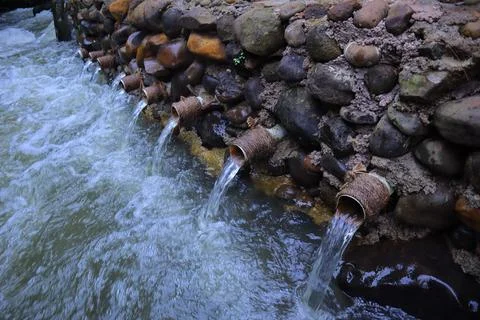 Stream in the middle of a pine forest Stock Photos