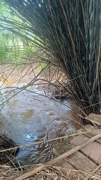 STREAM IN MINAS GERAIS Foto stock