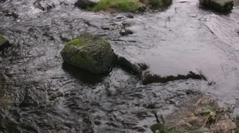 Stream on mossy rocks Stock Footage 10585991