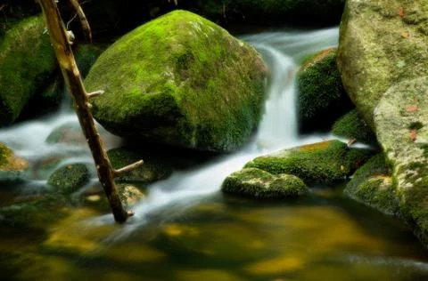 Stream with mossy stone Stock Photos