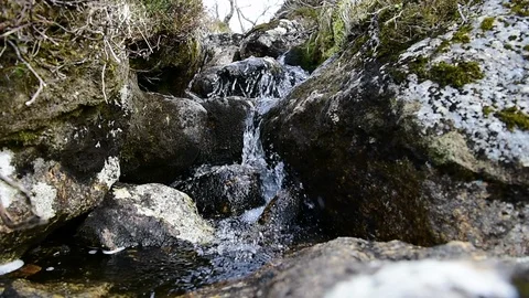Stream in the mounrains Stock Footage 107682326