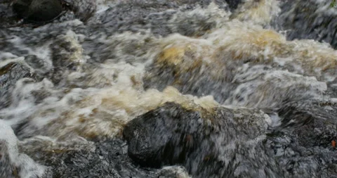 Stream of mountain creek Stock Footage 119915652