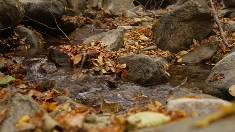 Stream in the mountain Stock-Footage 110806464