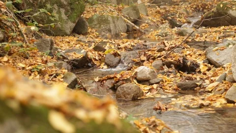 Stream in the mountain Vídeo Stock 110806625