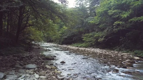 Stream of mountain river flowing on stones in summer forest aerial view Stock Footage 94563402