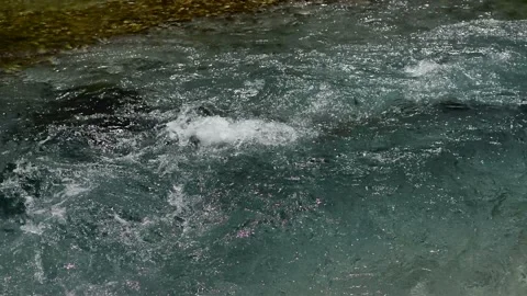 Stream of mountain river Stock Footage 158080499