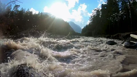 Stream of mountain river over fallen tree Stock Footage 150707622