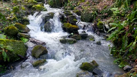 The stream of the mountain river in Sunny day Stock-Footage 147524991