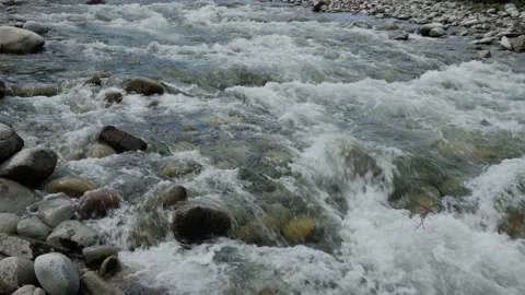 The stream of the mountain stream. Close-up on the water. Slow motion. Stock Footage 155154233