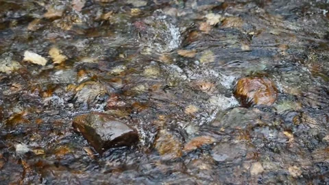 Stream in the mountain. Water flows over stones. River flowing. Stock Footage 316100469