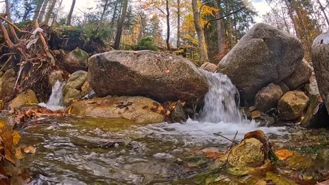 Stream of mountain water rushes through the rocks Stock Footage 314801001