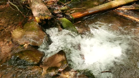  Stream  in mountain wood , top view  in 4K 3840x2160. Panorama Vídeos de archivo 53835513