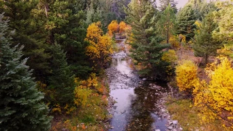 Stream in Mountains Autumn Stock Footage 162432093