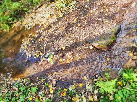 Stream in the mountains in autumn Stock Photos