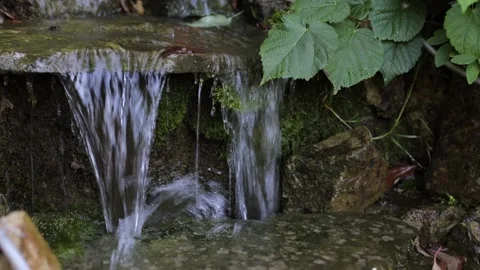 Stream in the mountains. Beautiful stream close up. Clean water in reservoirs Stock Footage 247540881