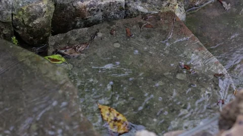 Stream in the mountains. Beautiful stream close up. Clean water in reservoirs Stock Footage 247540883