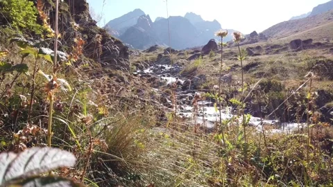 A stream in the mountains Video stock 144860002