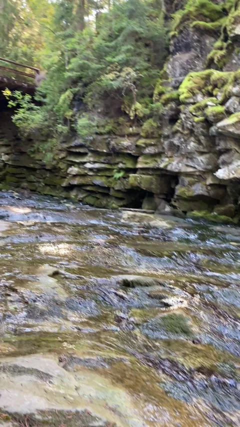 Stream in the mountains Stock Footage 226170990