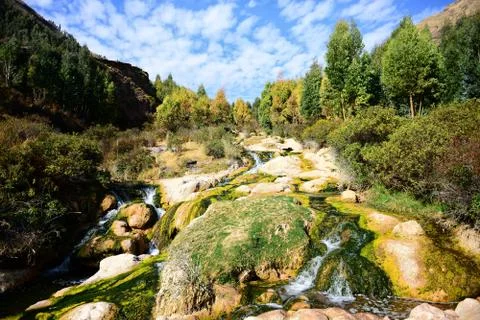 Stream in a mountains of peru 库存照片