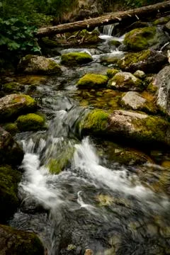 Stream in the mountains Stock Photos