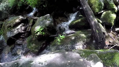 Stream in the mountains with rocks Video stock 134840950