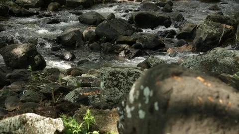 Stream moving Stock Footage 104826610