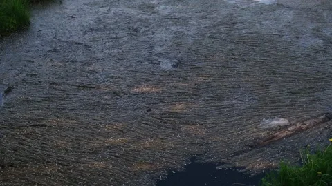 Stream with mud, environmental pollution concept Stock Footage 262553197