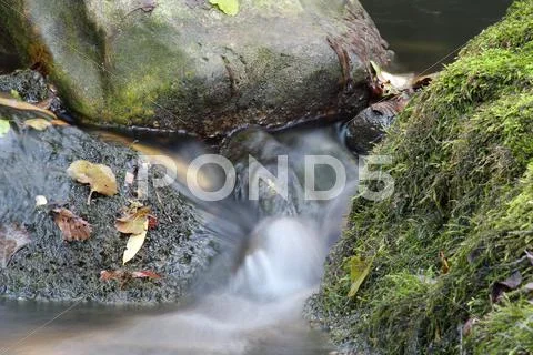 Stream natuere scene.JPG Stock Photos