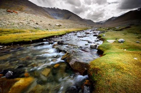 Stream natural Stock Photos