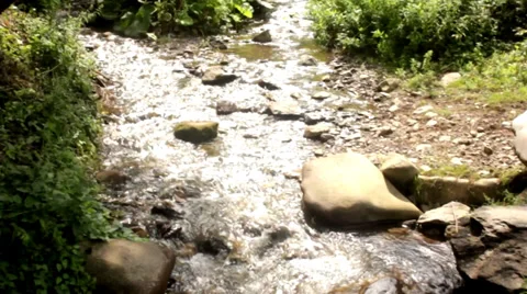 Stream In Nature Stock Footage 37326968