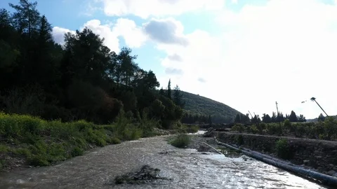 Stream in nature Video stock 126946633