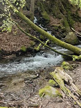 Stream in the nature Stock Photos