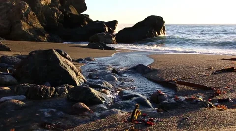 Stream into the ocean Stock Footage 49783216