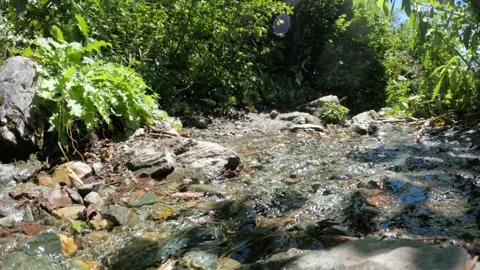 Stream or spring with tiny waterfalls in mountain ridge forest - loop video Video stock 240237978