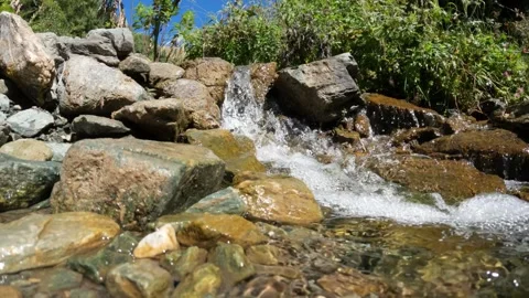 Stream or spring with tiny waterfalls in mountain woods - loop video Stock Footage 240316852