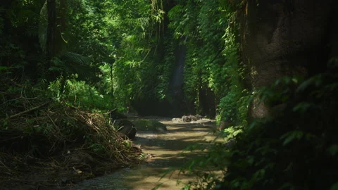 Stream outside the Tukad Cepung Waterfall Stock Footage 218458134