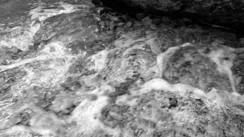 Stream Over Rocks 動画素材 170657831