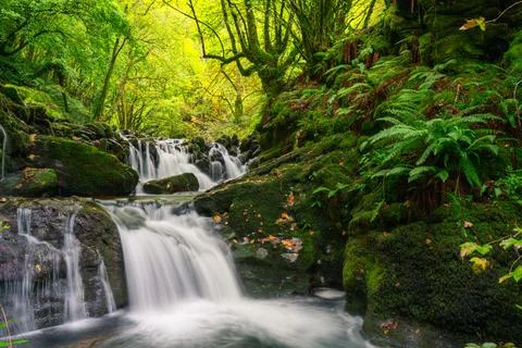 Stream overcomes a pair of rocky steps forming beautiful waterfalls Stock Photos