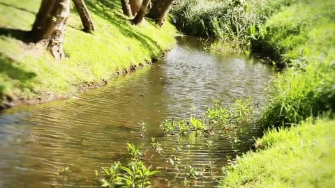 Stream in Oxford Stock Footage 98678649