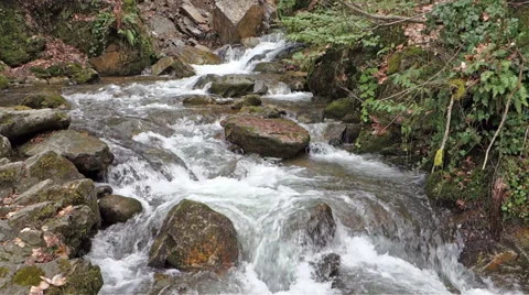 A stream in Oylat Bursa Turkey Video stock 44892620