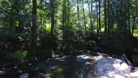 Stream pan Stock Footage 96549447