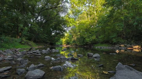 Stream Panning Shot Stock Footage 67491711
