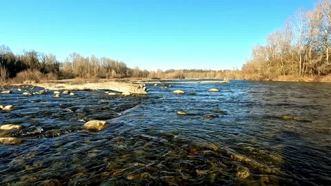 Stream in the park with abandoned trunk Stock Footage 252771377