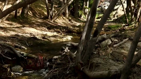 Stream in the park 動画素材 140148332